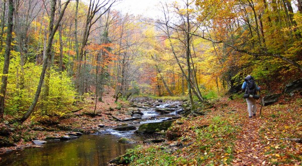 These 12 Amazing Camping Spots In West Virginia Are An Absolute Must See