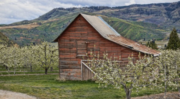 You’ll Fall In Love With These 10 Beautiful Old Barns in Washington
