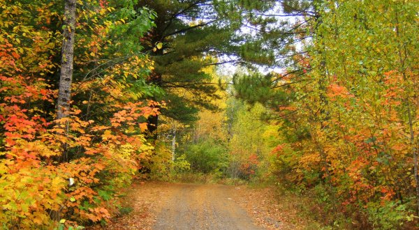 10 Undeniable Signs That Fall Is Almost Here In Minnesota