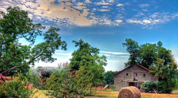 You Will Fall In Love With These 12 Charming Old Barns In Alabama