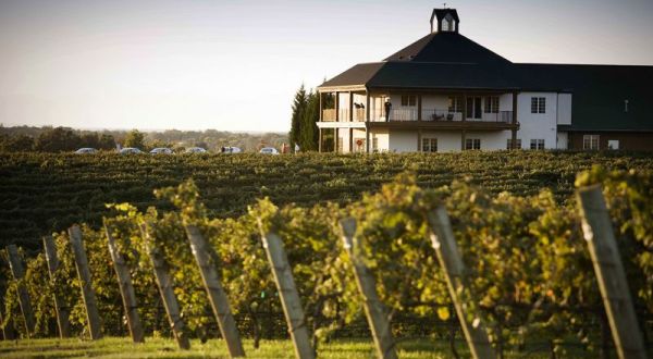 10 Gorgeous Wineries And Vineyards To Visit This Fall