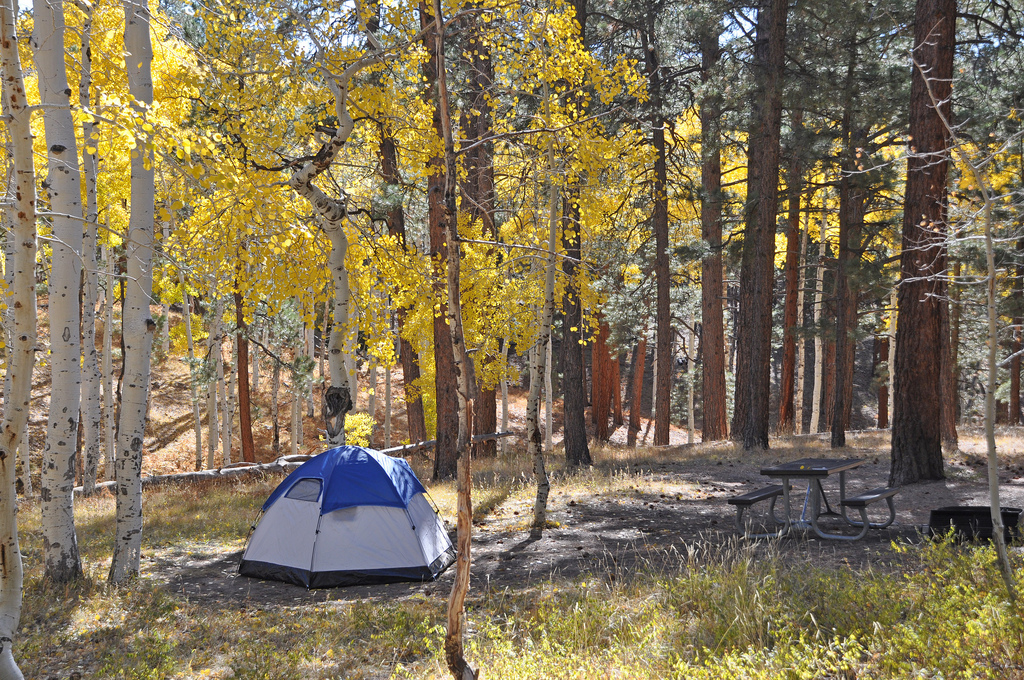 These Arizona campgrounds are great for the views and amenities. 