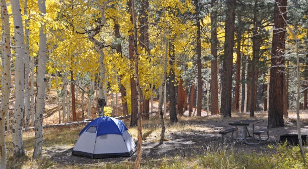 Any Explorer Should Visit These 8 Phenomenal Camping Spots In Arizona