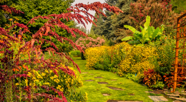 Here Are The 9 Most Beautiful Gardens You’ll Ever See In Oregon