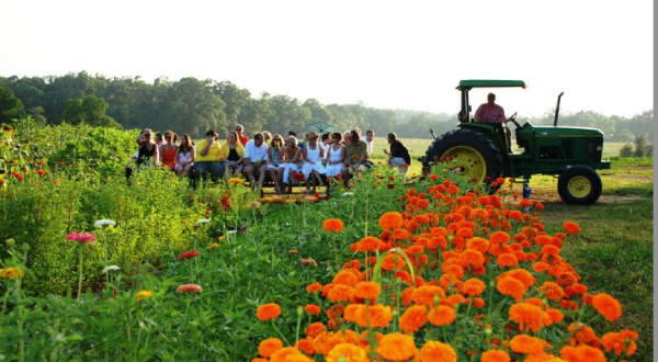 10 Louisiana Farms That Will Make You Miss The Country