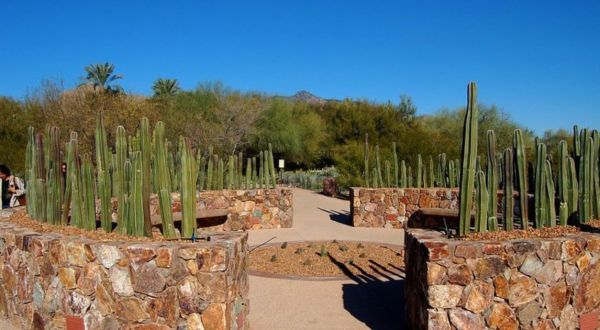Here Are The 9 Most Beautiful Gardens You’ll Ever See In Arizona