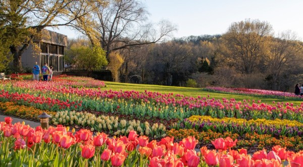 Here Are The 6 Most Beautiful Gardens You’ll Ever See In Tennessee