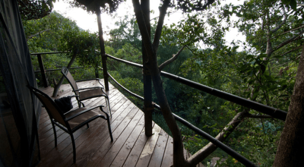 These 4 Treehouses In Hawaii Will Give You An Unforgettable Experience