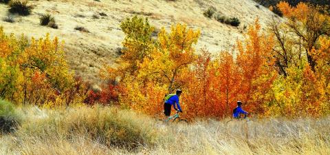 This Relaxing Trail System In Idaho Is The Perfect Urban Escape