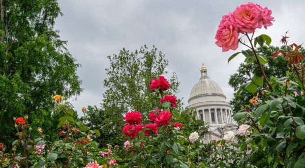 These 12 Arkansas Gardens Will Amaze You With Their Beauty