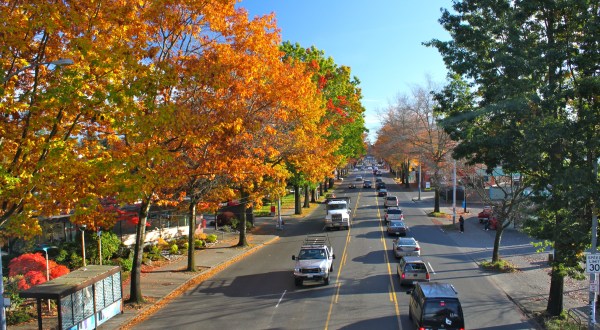 10 Undeniable Signs That Fall Is Almost Here in Washington