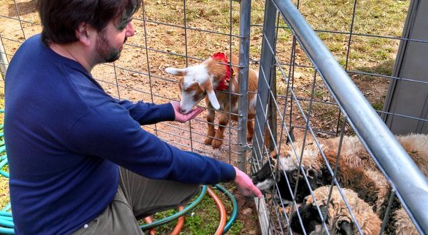 11 Little Known Places In Georgia Where Animal Lovers Should Go