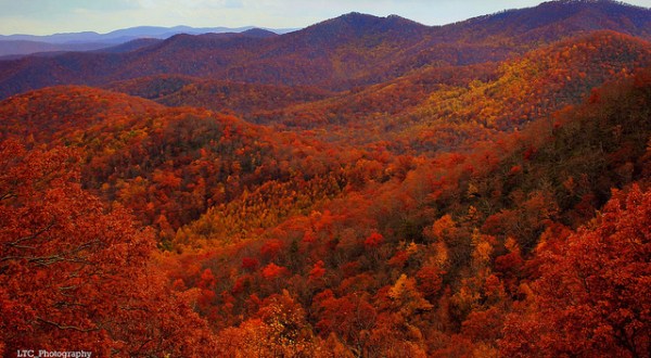 15 Reasons Why Fall Is The Best In North Carolina