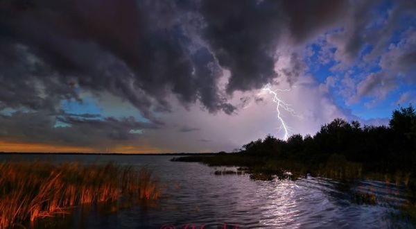 What These 20 Florida Photographers Captured Will Blow You Away