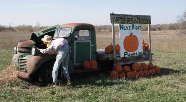 Don’t Miss These 9 Great Pumpkin Patches In Kansas This Fall