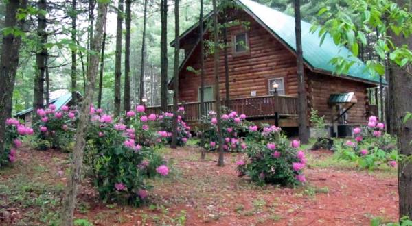 These Awesome Cabins In West Virginia Will Give You An Unforgettable Stay
