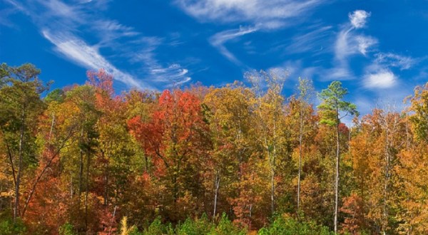 15 Reasons Why Fall Is The Best Time Of The Year In Alabama