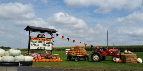 Don’t Miss These 8 Great Pumpkin Patches In Iowa This Fall