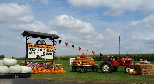 Don’t Miss These 8 Great Pumpkin Patches In Iowa This Fall