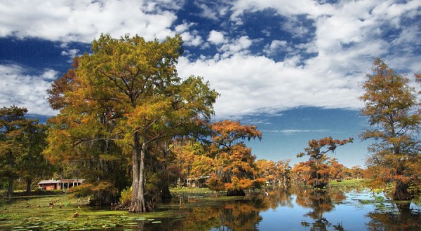 The Fall Foliage At These 10 State And National Parks In Texas Is Stunningly Beautiful