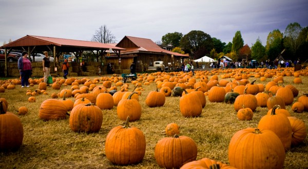 11 Reasons Why Fall Is The Best Time Of The Year In Oregon