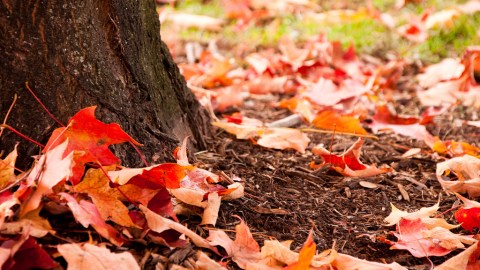 16 Things Everyone in Utah Does During the Fall Season