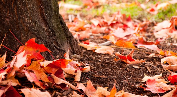 16 Things Everyone in Utah Does During the Fall Season