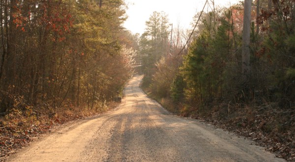 Take These 10 MORE Country Roads In Georgia For An Unforgettable Scenic Drive