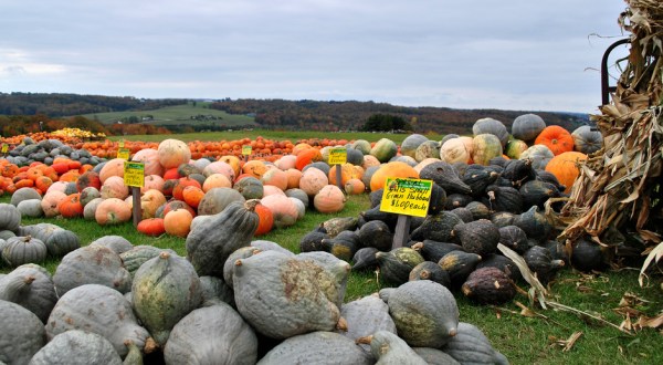 You Must Visit These 12 Awesome Places In Michigan This Fall