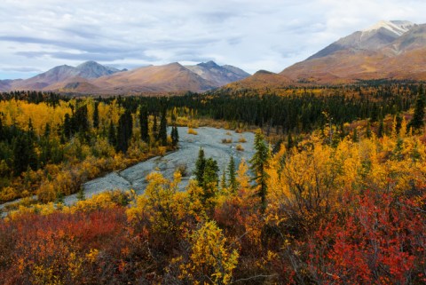 The Fall Foliage At These 9 Parks In Alaska Is Stunningly Beautiful