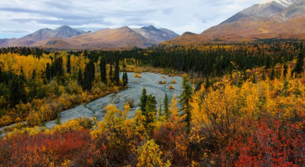 The Fall Foliage At These 9 Parks In Alaska Is Stunningly Beautiful