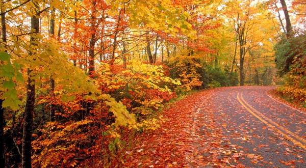 The Fall Foliage At These 10 State Parks In Alabama Is Stunningly Beautiful