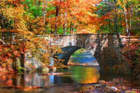 The Fall Foliage At These 14 State Parks In Virginia Is Stunningly Beautiful