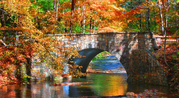 The Fall Foliage At These 14 State Parks In Virginia Is Stunningly Beautiful