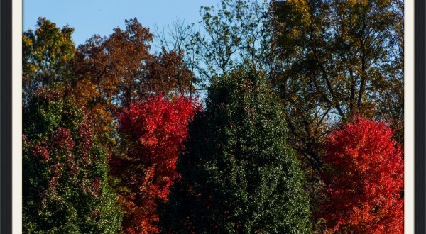 10 Undeniable Signs That Fall Is Almost Here In Kentucky