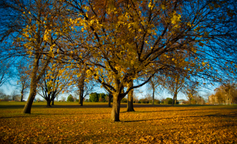 15 Undeniable Signs That Fall Is Almost Here In Iowa