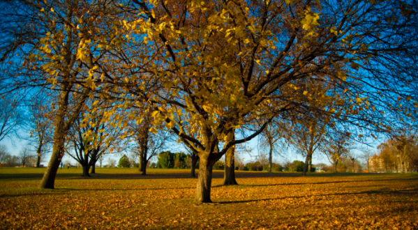 15 Undeniable Signs That Fall Is Almost Here In Iowa