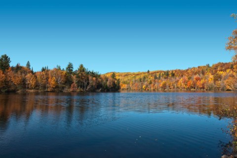 11 Reasons Why Fall Is The Best Time Of The Year In Minnesota