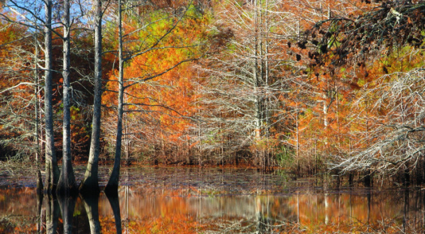 13 Reasons Why Fall Is The Best Time Of The Year In Mississippi