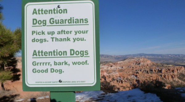 These 15 Funny Pictures Taken in Utah Will Have You Laughing Out Loud