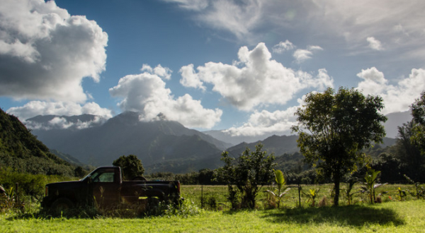 These 14 Charming Farms In Hawaii Will Make You Love The Country