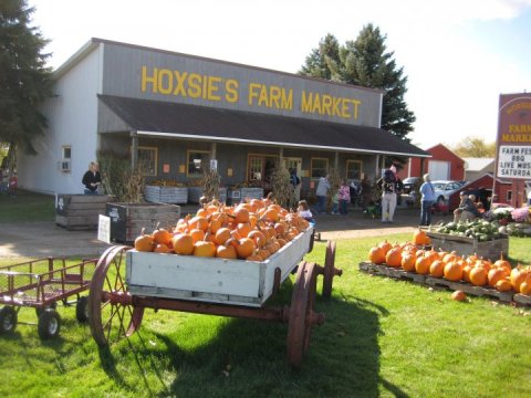 Don't Miss These 10 Great Pumpkin Patches In Michigan This Fall