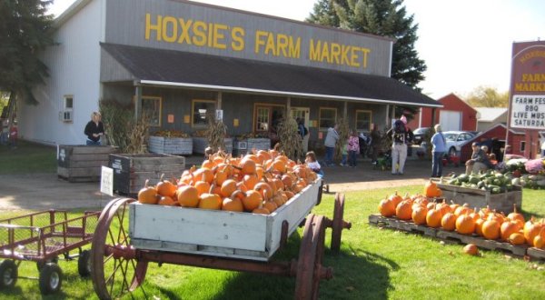 Don’t Miss These 10 Great Pumpkin Patches In Michigan This Fall