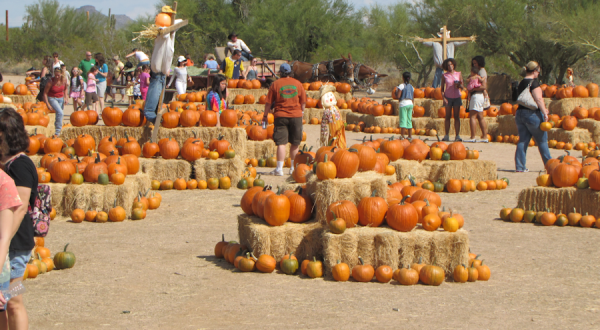 Don’t Miss These 10 Great Pumpkin Patches In Arizona This Fall