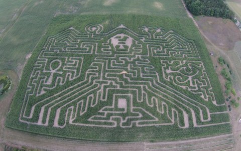 9 Awesome Corn Mazes In Michigan You Have To Do This Fall