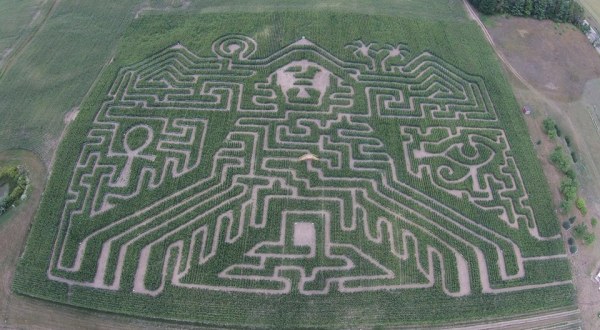 9 Awesome Corn Mazes In Michigan You Have To Do This Fall