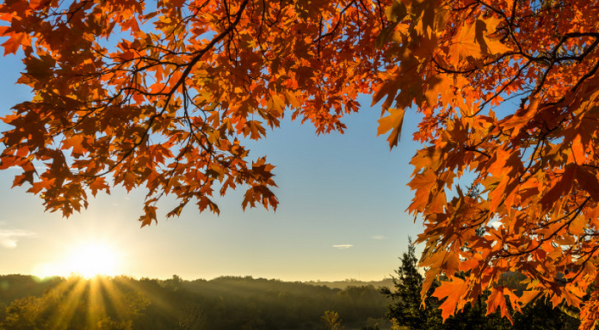 The Fall Foliage In These 9 State Parks In Missouri Is Stunningly Beautiful