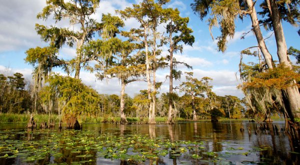 10 Towns In Louisiana To Get Away From It All