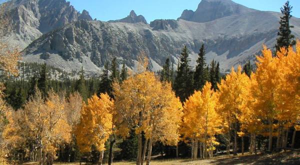 The Fall Foliage At These 7 State Parks In Nevada Is Stunningly Beautiful