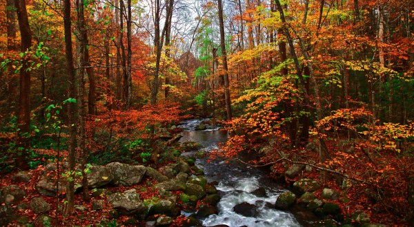 You Must Visit These 10 Awesome Places In Tennessee This Fall